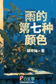 雨的第七种颜色